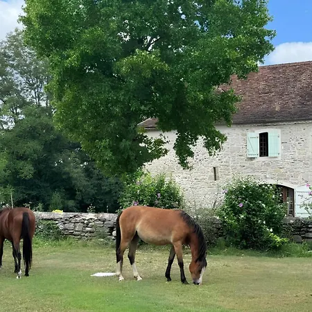 Hourquebie-demeure De Charme Entierement Renovee A 2 Min De La Riviere-entre Et Montagne Saint-Gladie-Arrive-Munein